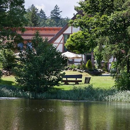 Landhaus Tonmuehle Ilsenburg Buitenkant foto