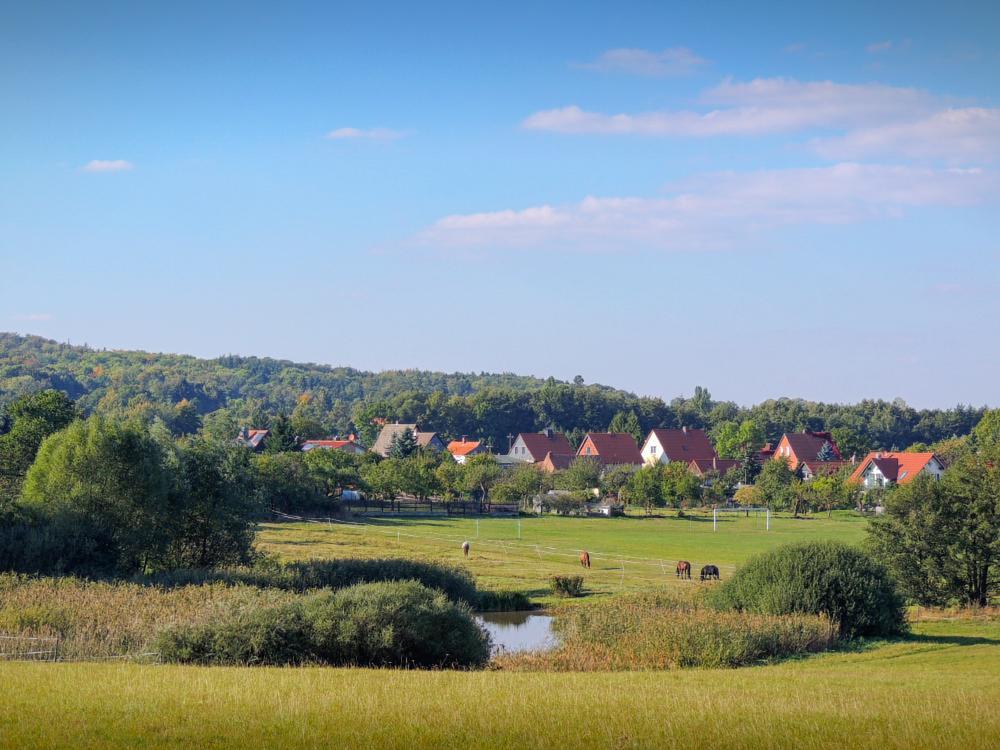 Landhaus Tonmuehle Ilsenburg Buitenkant foto